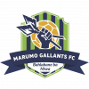 Marumo Gallants FC logo