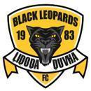 Black Leopards logo