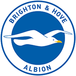 Brighton Hove Albion avatar