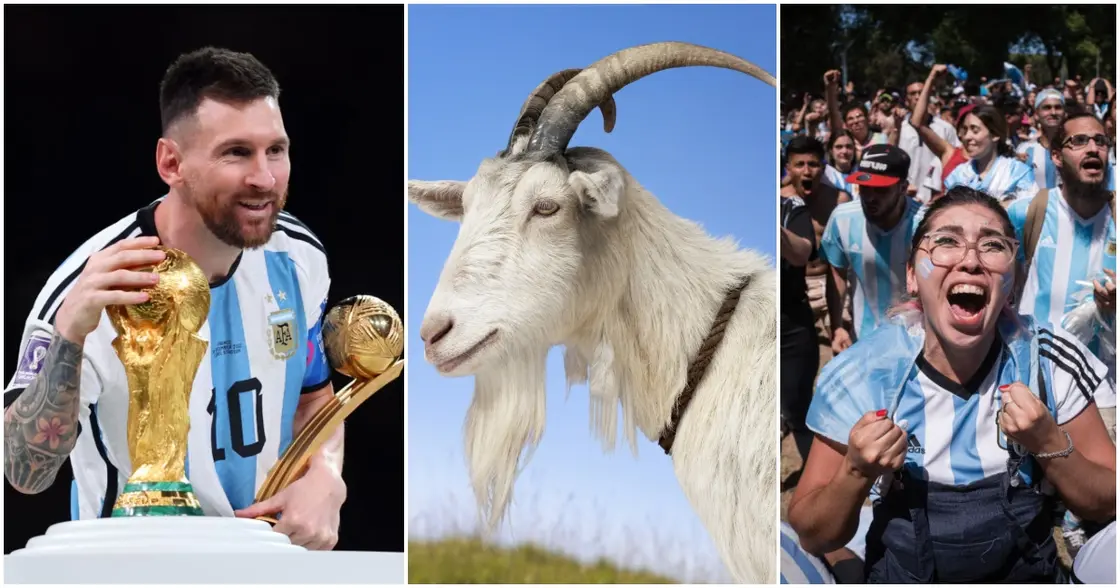 Fans look for clues to reveal the true GOAT as Lionel Messi and Cristiano  Ronaldo play chess in new advert