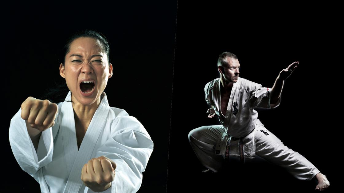 what-are-the-different-karate-styles-and-how-do-they-differ-from-each