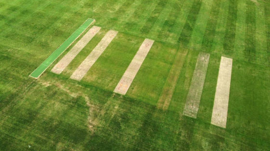How does a cricket pitch look like?