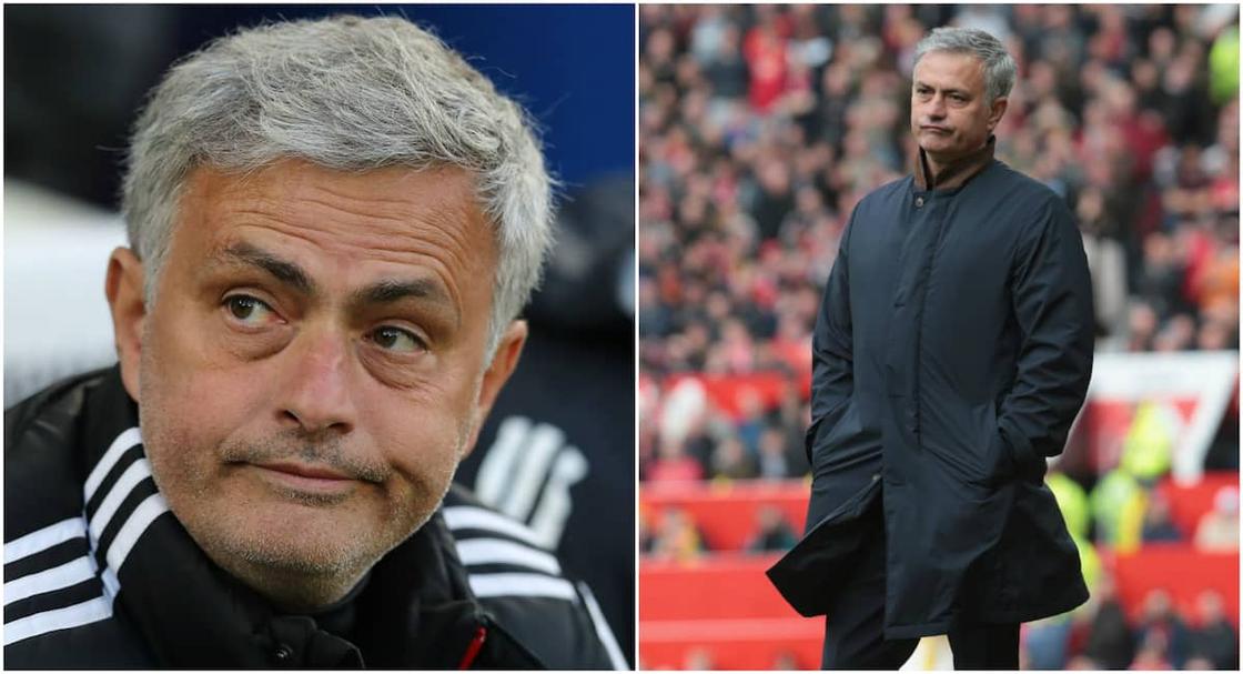 Jose Mourinho dog dead: Twitter in meltdown as Spurs boss reveals