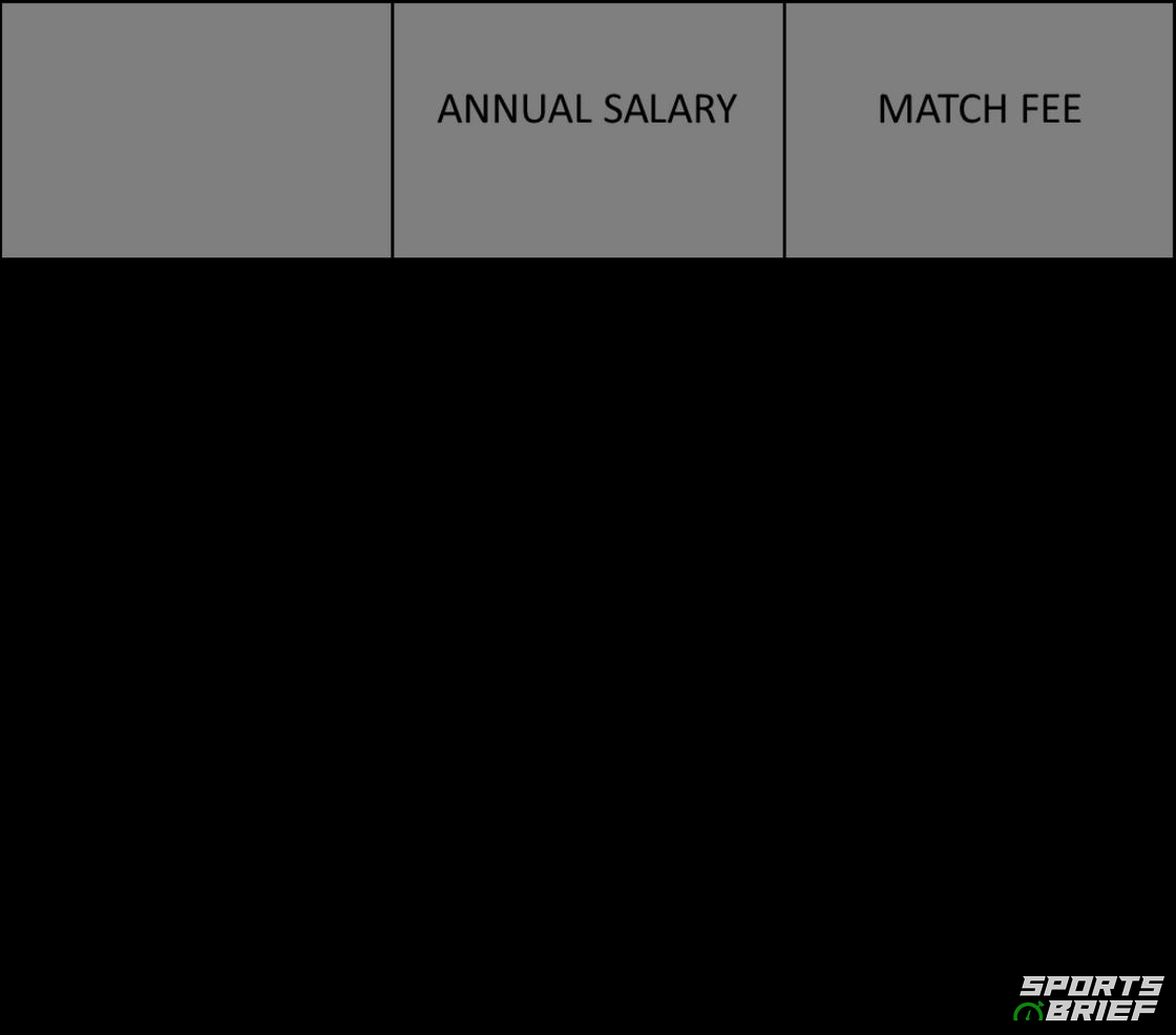 premier-league-referees-salaries-what-is-the-average-salary-for-refs