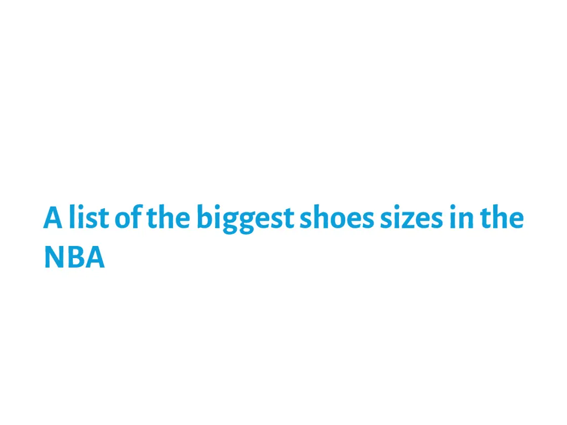 The NBA's Most Interesting Shoe Sizes