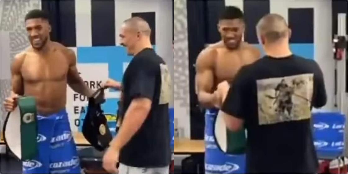 New heavyweight champion Usyk does 1 remarkable to show respect to Joshua when they met in the dressing room