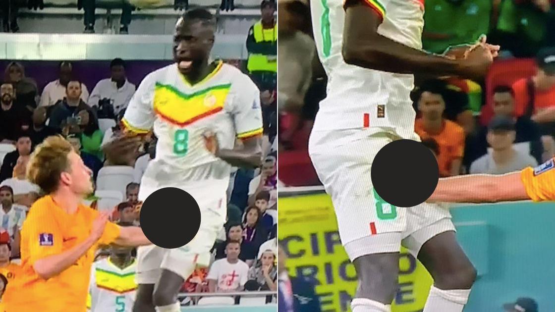 2022 World Cup: Frenkie de Jong 'punches' Cheikhou Kouyate in his private parts during Senegal vs Netherlands
