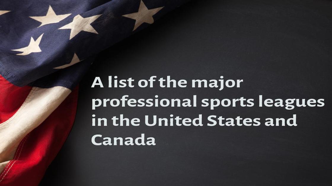 A detailed list of the major professional sports leagues in the United States and Canada