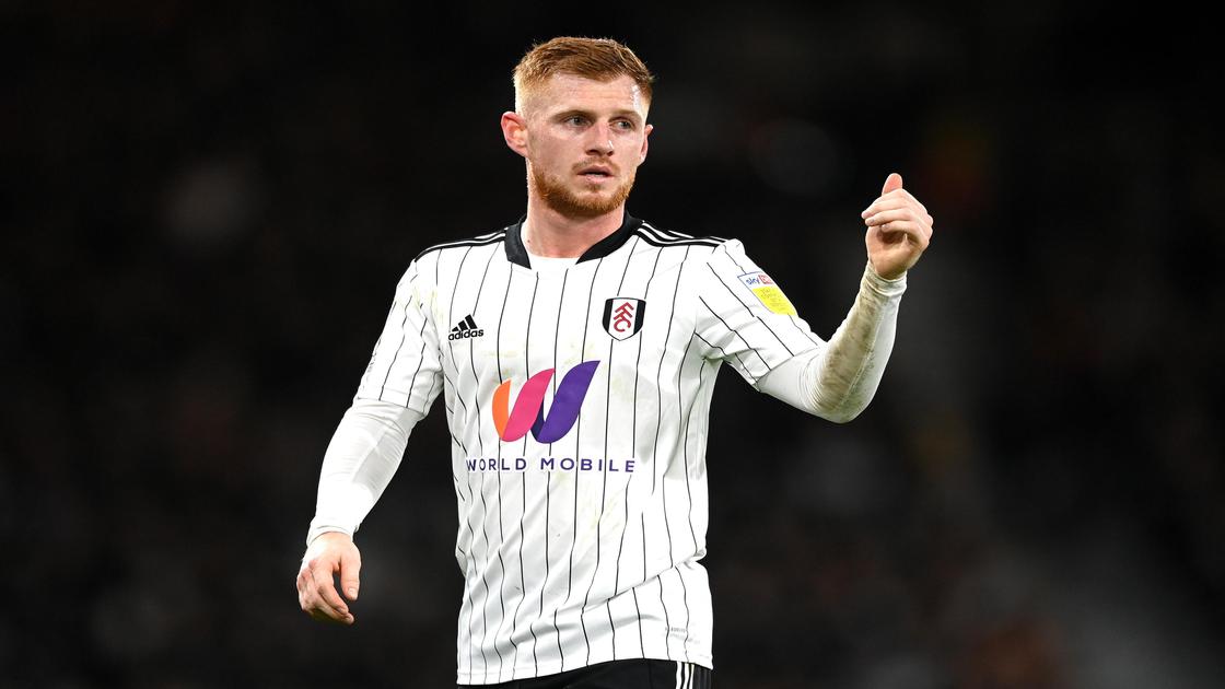 Who is Harrison Reed? Top details about the Fulham midfielder