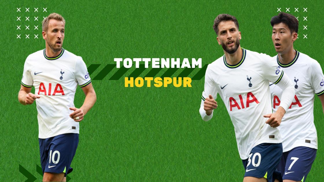 Tottenham's lineup in 2023: players, coach, owners, team captain, transfer