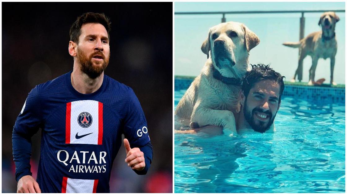 Real Madrid legend bizzarely names his dog 'Messi'