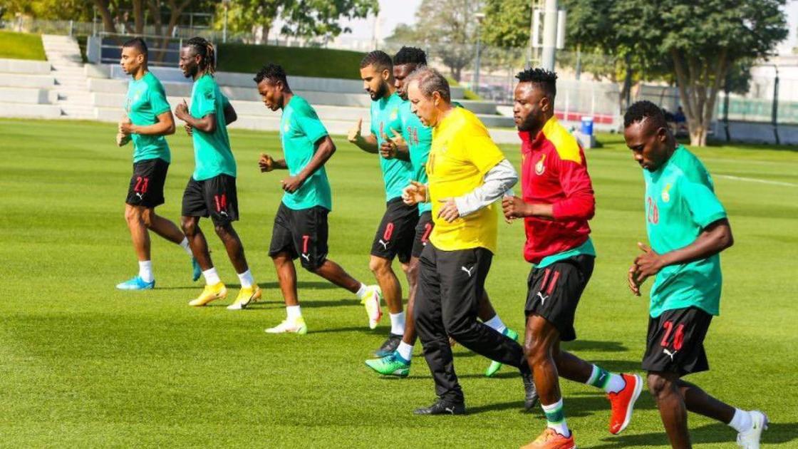 Ghana coach Milovan Rajevac laments over late arrival of players ahead of AFCON