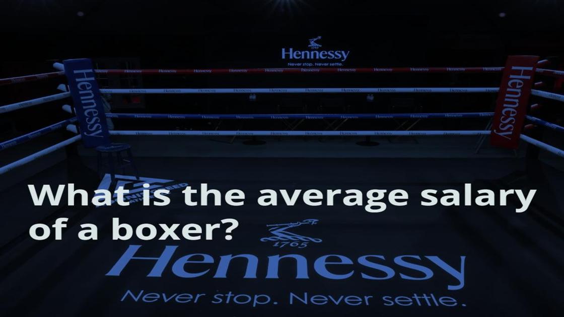 What is the average salary of a boxer? All the details explained