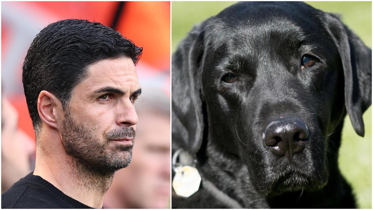 Mikel Arteta Makes Hilarious New Signing to ‘Boost Morale’ After EPL ...