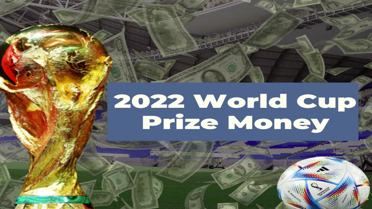 one day world cup winners prize money