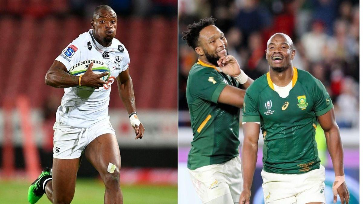 Coach: Springbok Flyer Makazole Mapimpi Is the Best Number 11 in World ...