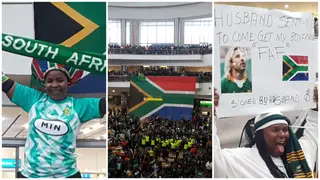 Rugby World Cup: Thousand of Supporters Welcome Springboks Back to South Africa, Video