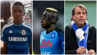 Chelsea fan urges Boehly to sign Osimhen after photo of him in Blues jersey emerges