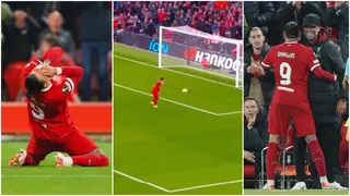 Darwin Nunez: Footage shows how Liverpool players, Klopp reacted after huge miss vs Toulouse