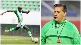 Victor Osimhen speaks for the first time about Jose Peseiro's future as Super Eagles coach