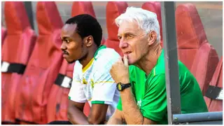 Percy Tau: Bafana Coach Hugo Broos Addresses Al Ahly Star’s Absence Ahead of FIFA Series Friendlies