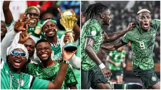 AFCON 2023: Nigerians in South Africa Cautioned Against Excessive Jubilation