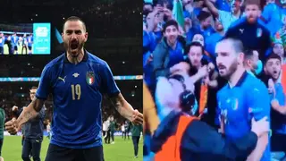 Awkward Moment Steward 'Harassed' Italy Defender After Mistaking Him for Pitch Invader During Spain Clash