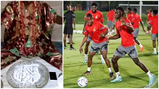 World Cup 2022: Nigerian Spiritualist reveals one African team that will do well in Qatar