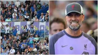 Brighton Fans Mock Liverpool With Hilarious Chant After Being Controversially Denied Penalty