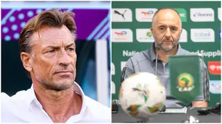 AFCON 2023: Algeria Sacks Djamel Belmadi, Wants Herve Renard As His Replacement