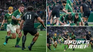 South Africa Aims to Pile More Pressure on New Zealand in Rugby Championship at Emirates Airlines Park