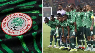 Nigeria football chief explains reason for NFF's delay in naming next Super Eagles coach: report