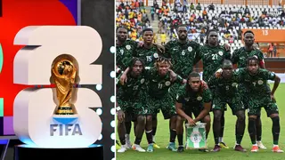 Peter Ijeh Warns That a Foreign Coach May Not Guarantee World Cup Qualification for Super Eagles
