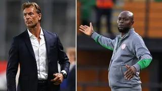 Finidi George’s Replacement: Why NFF Should Consider Appointing Herve Renard As Super Eagles Coach
