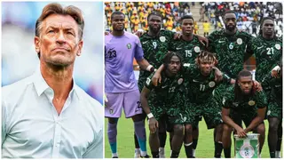Super Eagles: NFF Reportedly Eyeing Herve Renard To Replace Finidi George as Nigeria Boss