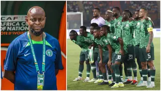 NFF Concludes Search for Super Eagles Coach, Offers 2 Year Deal to New Manager