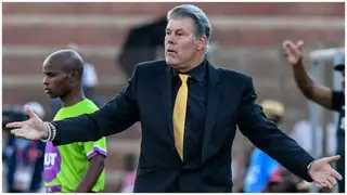 Kaizer Chiefs: Luc Eymael Seeking Personal and Professional Redemption With Amakhosi
