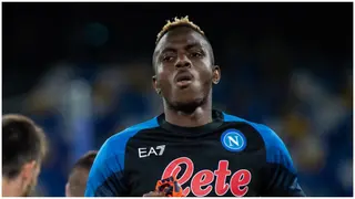 Super Eagles striker Victor Osimhen advised to dump Napoli to join former Champions League winners