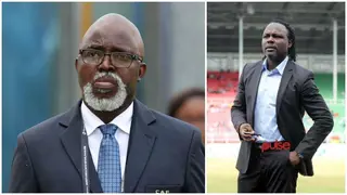 Furious former Super Eagles star says the current Nigeria Football Federation board has failed the country