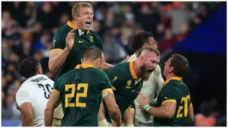 England vs South Africa: Springbok Dream Continues After the Greatest of Escapes