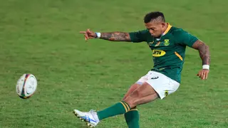 Springbok Fans Roast Elton Jantjies After Wales Horror Show Against Wales, Jacques Nienaber Defends Him