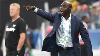 Samson Siasia Takes Issue With NFF’s Handling of Local Coaches