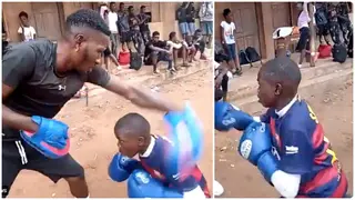 Incredible footage shows little boy show off exceptional boxing skills leaving fans practically stunned