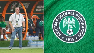 Super Eagles coach: Ex-Cameroon coach applies to replace Jose Peseiro, report