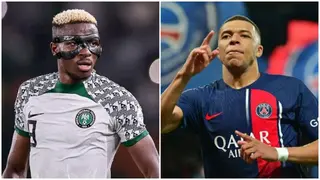 Nigerians advise Osimhem against joining PSG move to replace Mbappe