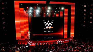 When did WWF become WWE? Unveiling the evolutionary transition