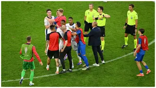 Euro 2024: Declan Rice Involved in Heated Altercation With Slovakia Manager After England Win
