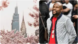 Mayweather Reveals How Many Skyscrapers He Owns in New York As He Dismisses Flashy Lifestyle Claims