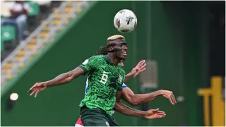 AFCON 2023: Nigeria vs Equatorial Guinea (Live Updates)