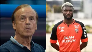 Super Eagles coach Gernot Rohr set to invite striker who has scored 6 goals in France this season